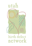 Birth Defects Network Logo